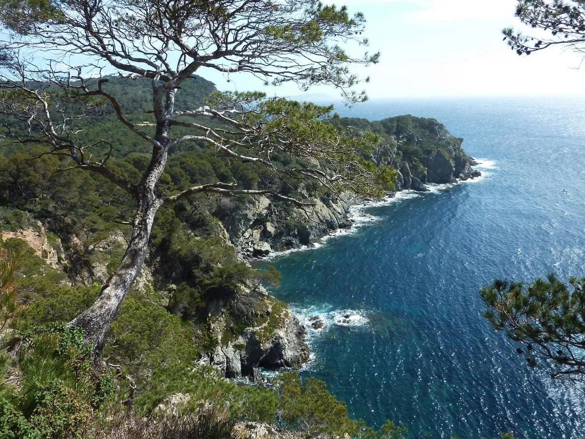 Hotel Le Mediterranee Hyères Frankrijk